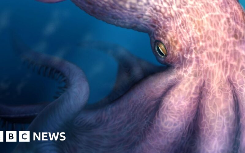 Fosil Rahang Ungkap Gurita Raksasa 19 Meter Jelajahi Laut Purba