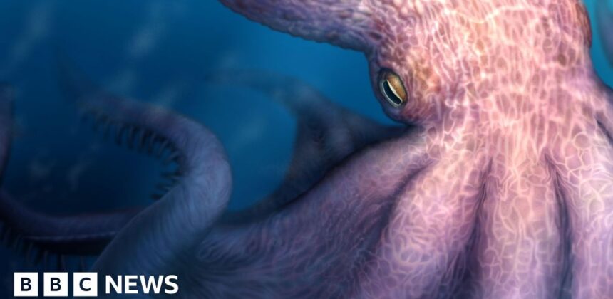 Fosil Rahang Ungkap Gurita Raksasa 19 Meter Jelajahi Laut Purba