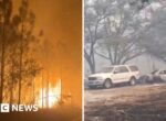Kebakaran Hutan Melanda Georgia dan Florida, Ribuan Hektare Terbakar