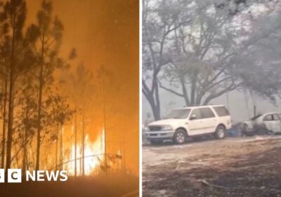 Kebakaran Hutan Melanda Georgia dan Florida, Ribuan Hektare Terbakar