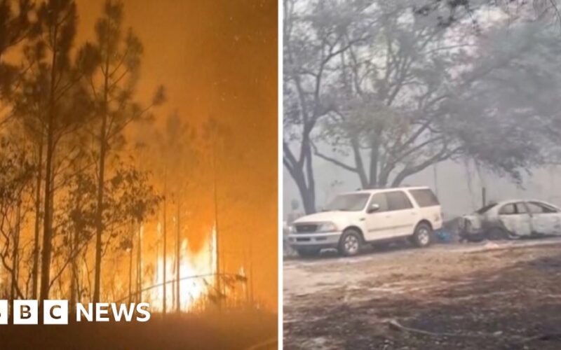 Kebakaran Hutan Melanda Georgia dan Florida, Ribuan Hektare Terbakar