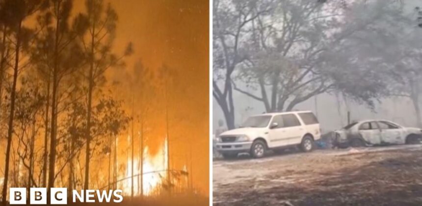 Kebakaran Hutan Melanda Georgia dan Florida, Ribuan Hektare Terbakar