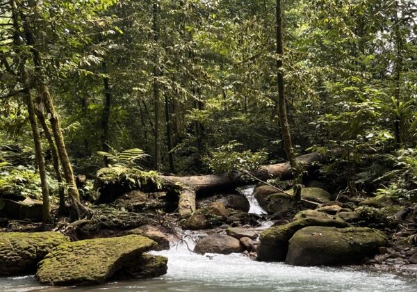 Menjelajah Surga Alam Aceh Utara, Keindahan Air Terjun 7 Bidadari Memikat Wisatawan