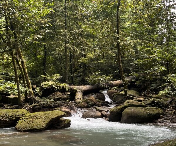 Menjelajah Surga Alam Aceh Utara, Keindahan Air Terjun 7 Bidadari Memikat Wisatawan