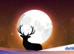Fenomena Buck Moon: Bulan Purnama Juli Malam Ini, Simak Tipsnya