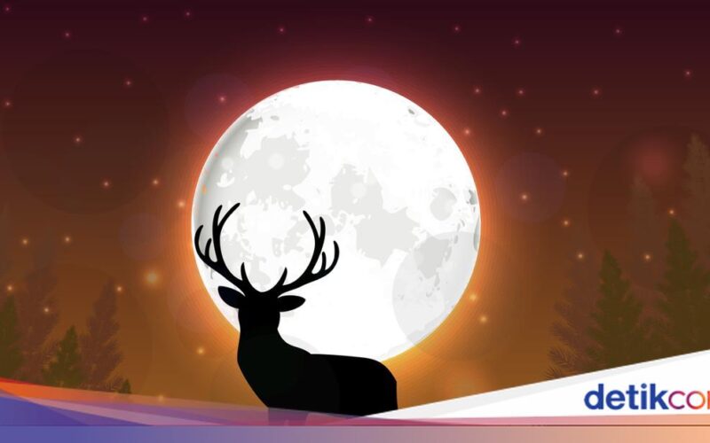 Fenomena Buck Moon: Bulan Purnama Juli Malam Ini, Simak Tipsnya