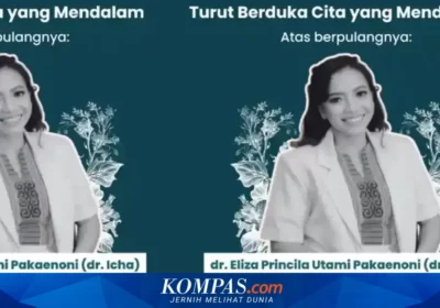 Partai Politik Tanggapi Kasus Intimidasi dr. Icha di NTT