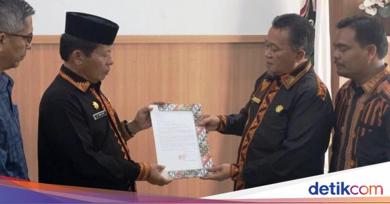Ulah Dea Arranoya Bawa Pejabat Gayo Lues Mundur dari Jabatan