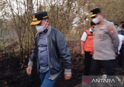 Gubernur Kalteng Tinjau Penanganan Karhutla di Kotawaringin Barat
