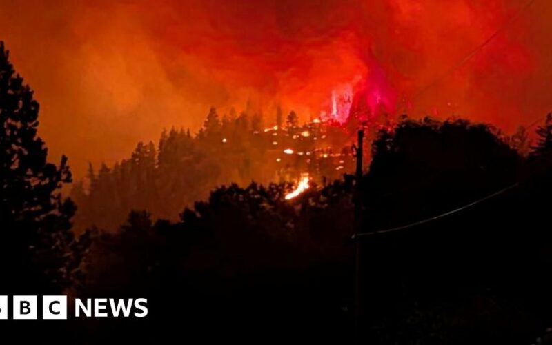 Kebakaran Hutan Parah di Kanada Picu Keadaan Darurat