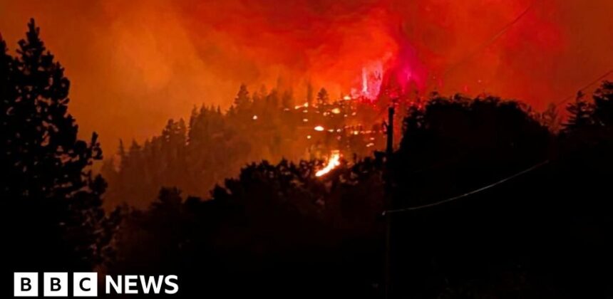 Kebakaran Hutan Parah di Kanada Picu Keadaan Darurat