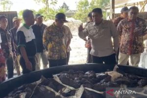Kementan Dorong Gula Tumbu Sebagai Alternatif Hilirisasi Tebu