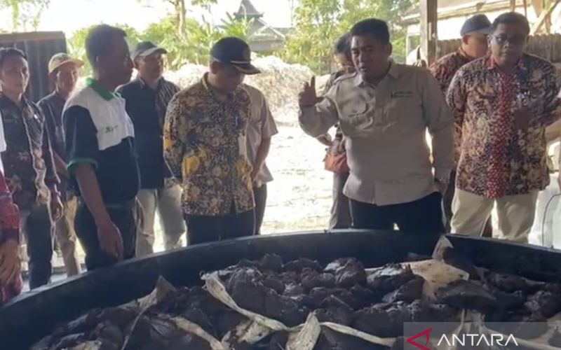 Kementan Dorong Gula Tumbu Sebagai Alternatif Hilirisasi Tebu
