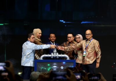 Pemerintah Targetkan Bauran Energi Geothermal 15 Persen