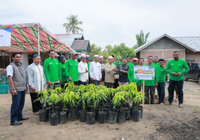 PT PIM Salurkan 600 Bibit Mangga Kiojay di Aceh Utara untuk Dorong Ekonomi Warga