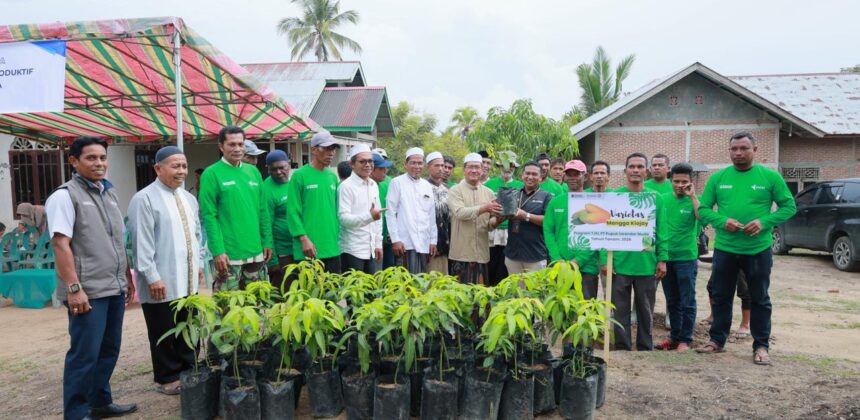 PT PIM Salurkan 600 Bibit Mangga Kiojay di Aceh Utara untuk Dorong Ekonomi Warga