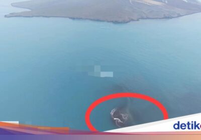 Daratan Baru Muncul di Sekitar Gunung Anak Krakatau
