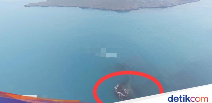 Daratan Baru Muncul di Sekitar Gunung Anak Krakatau