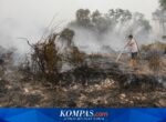 Warga Palangka Raya Keluhkan Gangguan Kesehatan Akibat Asap