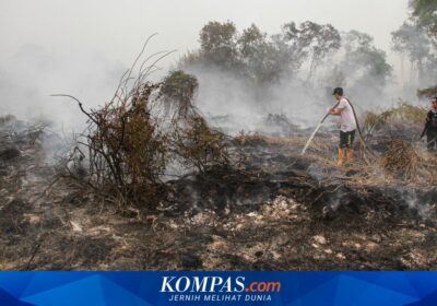 Warga Palangka Raya Keluhkan Gangguan Kesehatan Akibat Asap