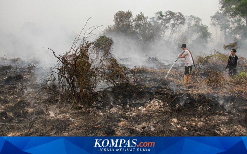 Warga Palangka Raya Keluhkan Gangguan Kesehatan Akibat Asap