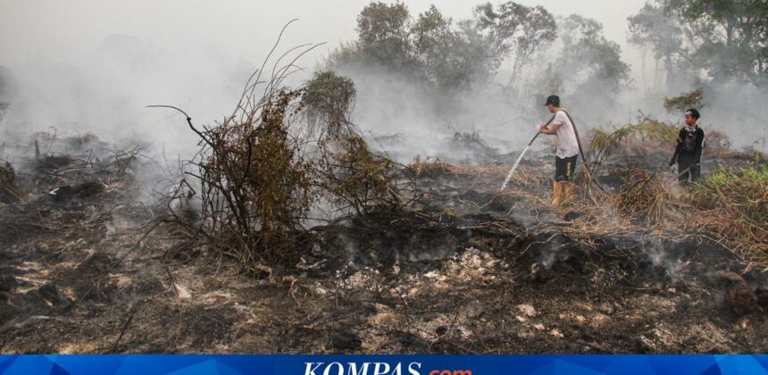 Warga Palangka Raya Keluhkan Gangguan Kesehatan Akibat Asap