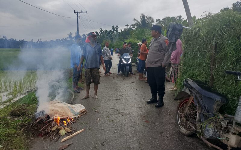 Petani di Aceh Utara Tewas Tertimpa Patahan Pohon Kelapa