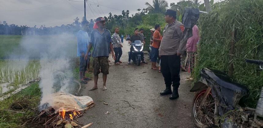 Petani di Aceh Utara Tewas Tertimpa Patahan Pohon Kelapa