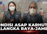 Kabut Asap Palangka Raya dan Jambi Meningkat, ISPA Menghantui