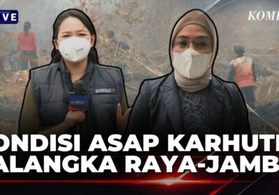 Kabut Asap Palangka Raya dan Jambi Meningkat, ISPA Menghantui