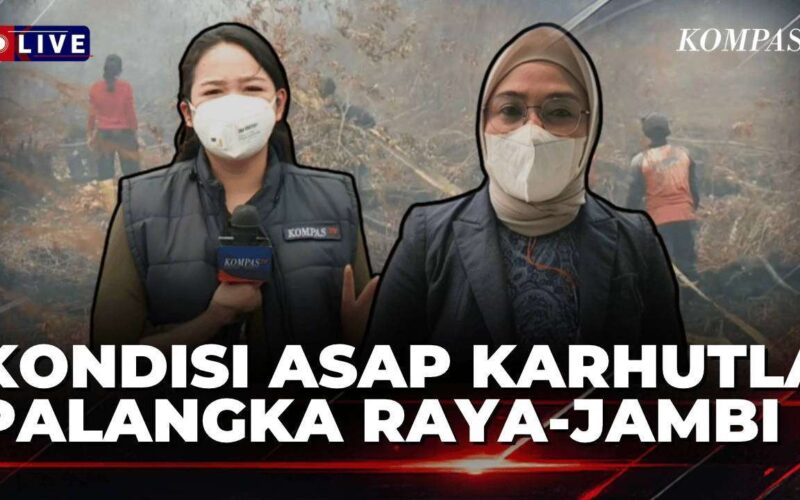 Kabut Asap Palangka Raya dan Jambi Meningkat, ISPA Menghantui