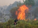 Singapura Keluarkan Pemberitahuan Haze untuk Tiga Perusahaan Indonesia