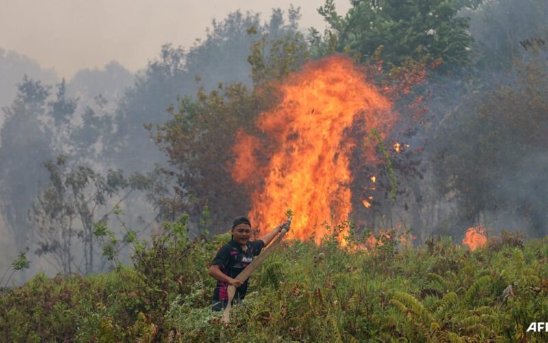 Singapura Keluarkan Pemberitahuan Haze untuk Tiga Perusahaan Indonesia